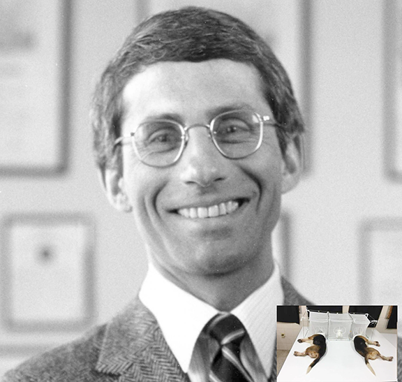 Anthony Fauci